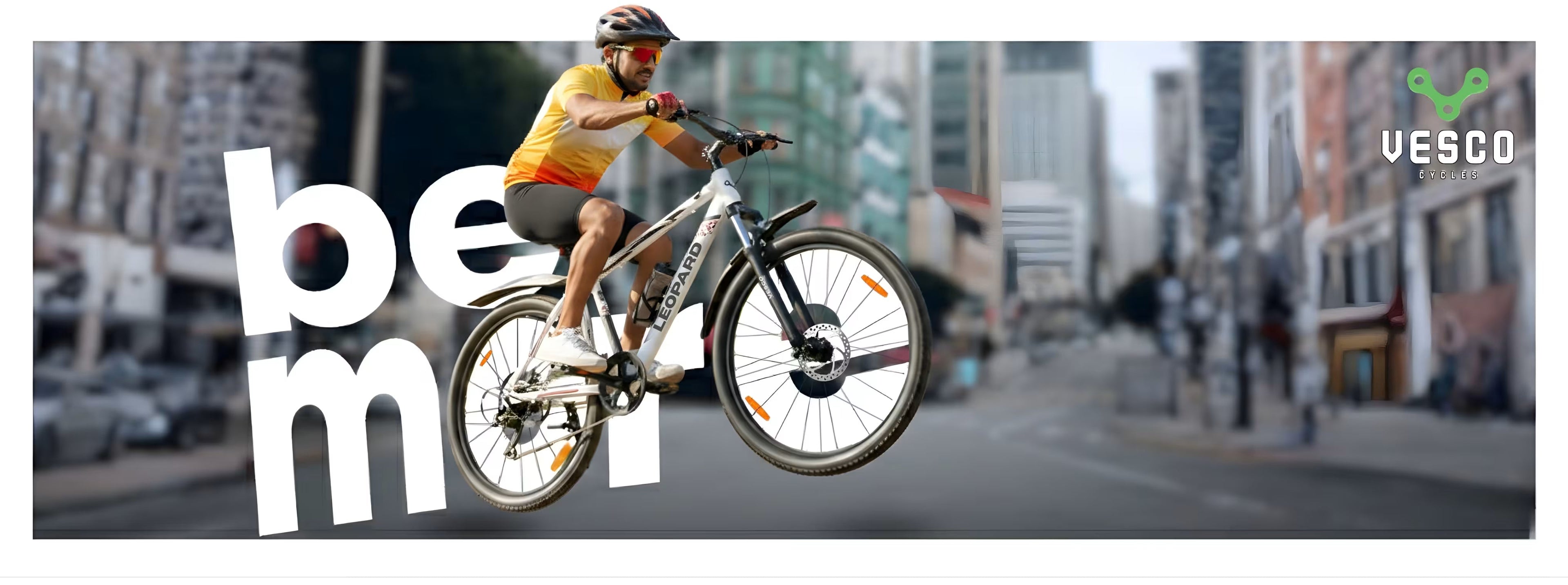 Men Bicycles - Vesco Cycles