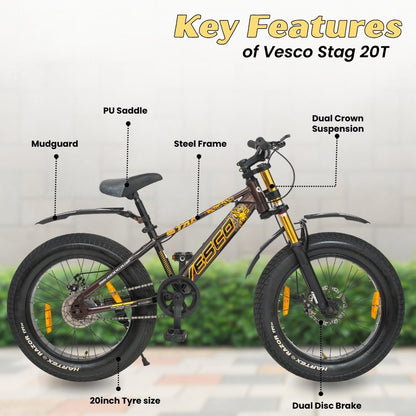 VESCO STAG 20T Fat Tyre Cycle for Kids Boys & Girls | Single Speed | Dual Disc Brake | Dual Crown Suspension | Ideal for 8–10 Years (Brown) - Vesco Cycles