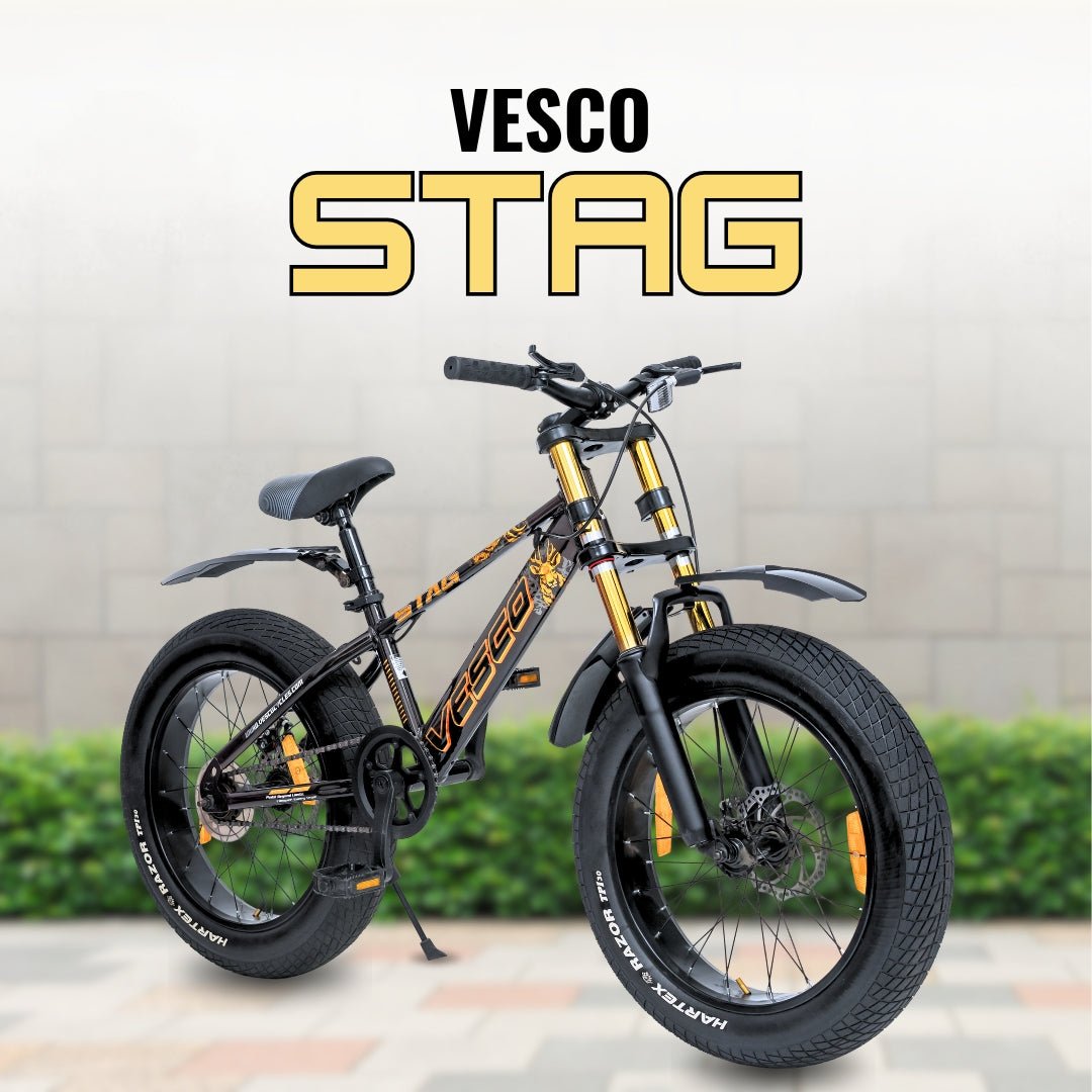 VESCO STAG 20T Fat Tyre Cycle for Kids Boys & Girls | Single Speed | Dual Disc Brake | Dual Crown Suspension | Ideal for 8–10 Years (Brown) - Vesco Cycles