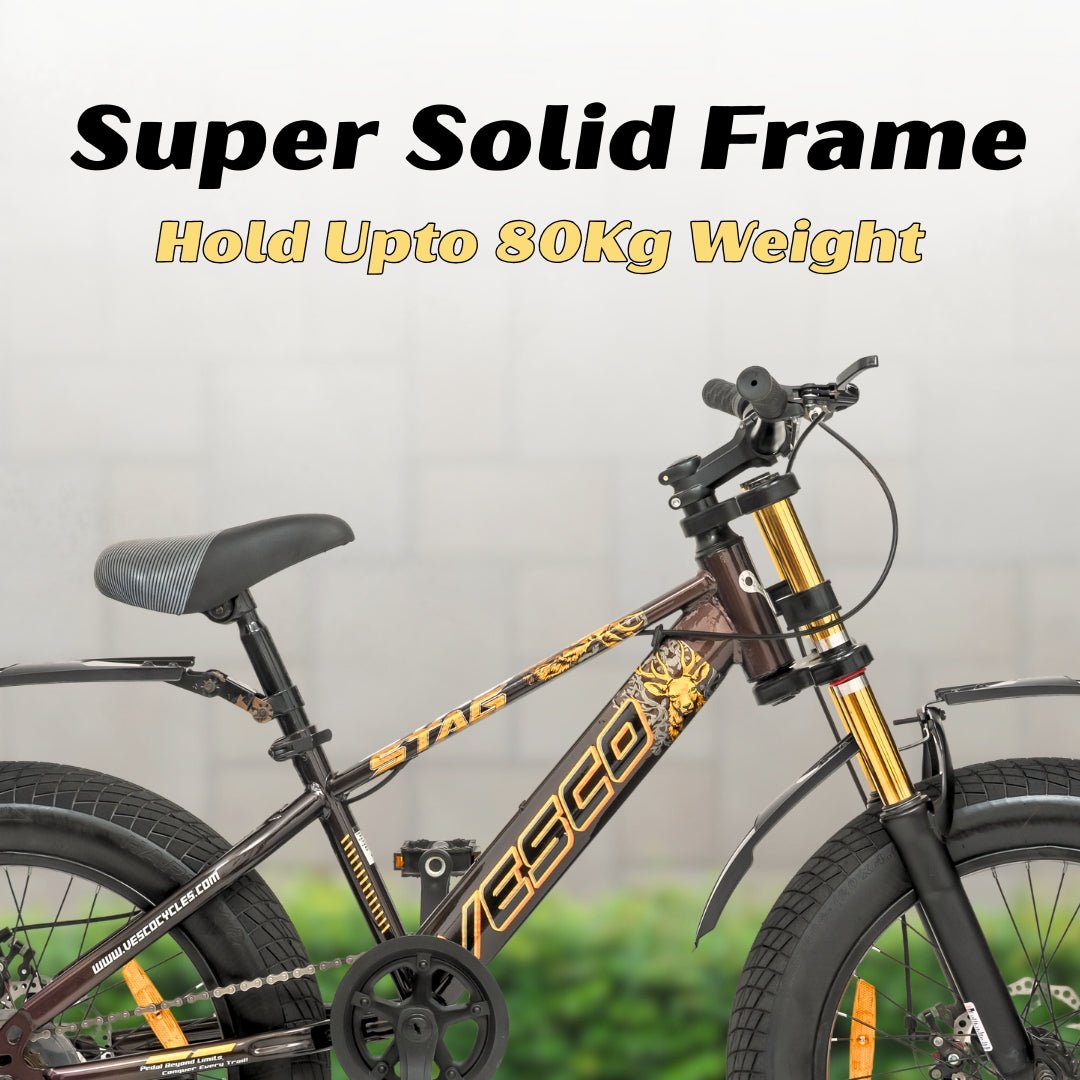 VESCO STAG 20T Fat Tyre Cycle for Kids Boys & Girls | Single Speed | Dual Disc Brake | Dual Crown Suspension | Ideal for 8–10 Years (Brown) - Vesco Cycles